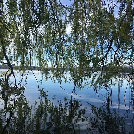 Appartamento Miralago Con Giardino Sul Lago Gavirate Eksteriør billede