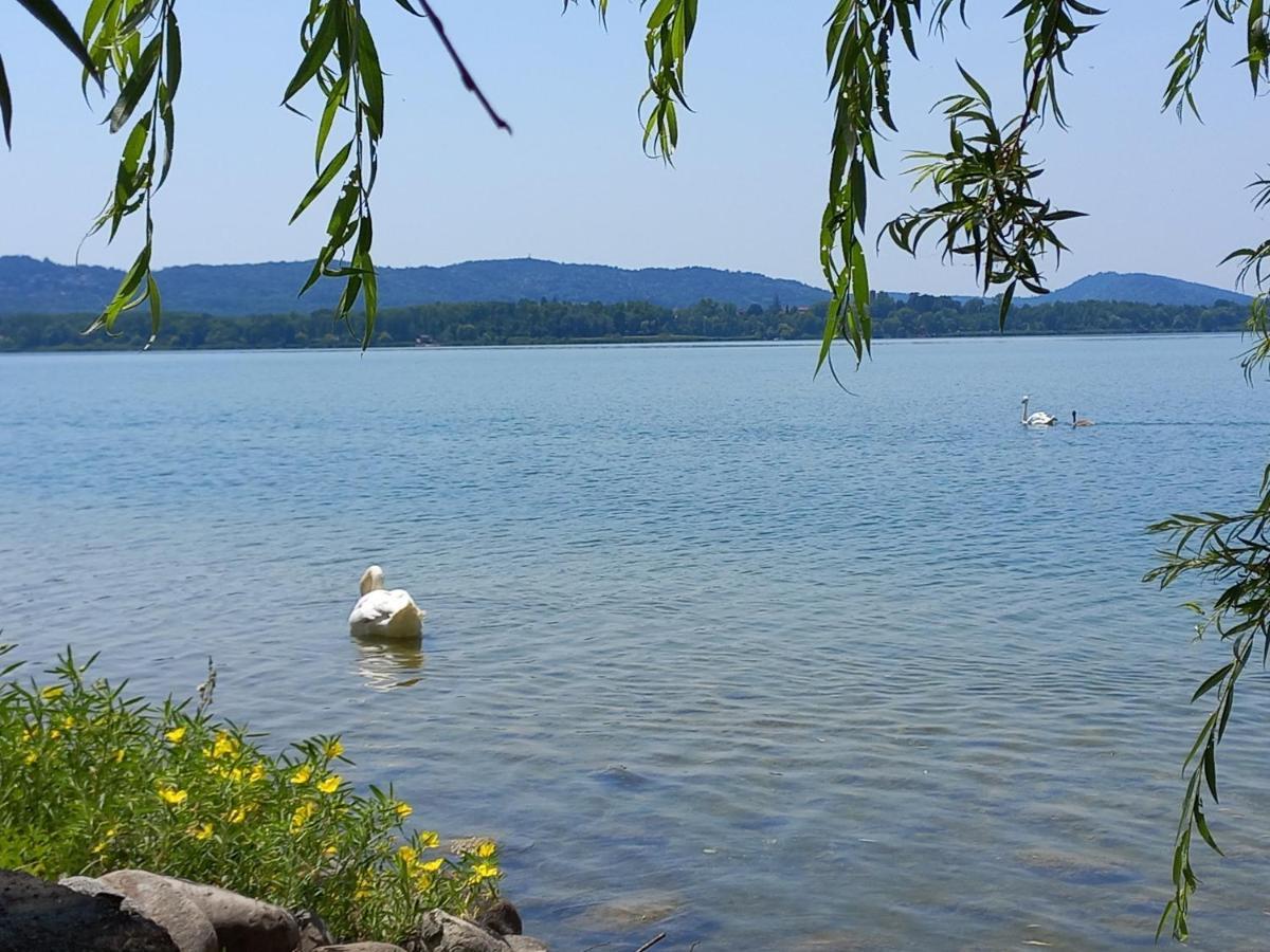 Appartamento Miralago Con Giardino Sul Lago Gavirate Eksteriør billede