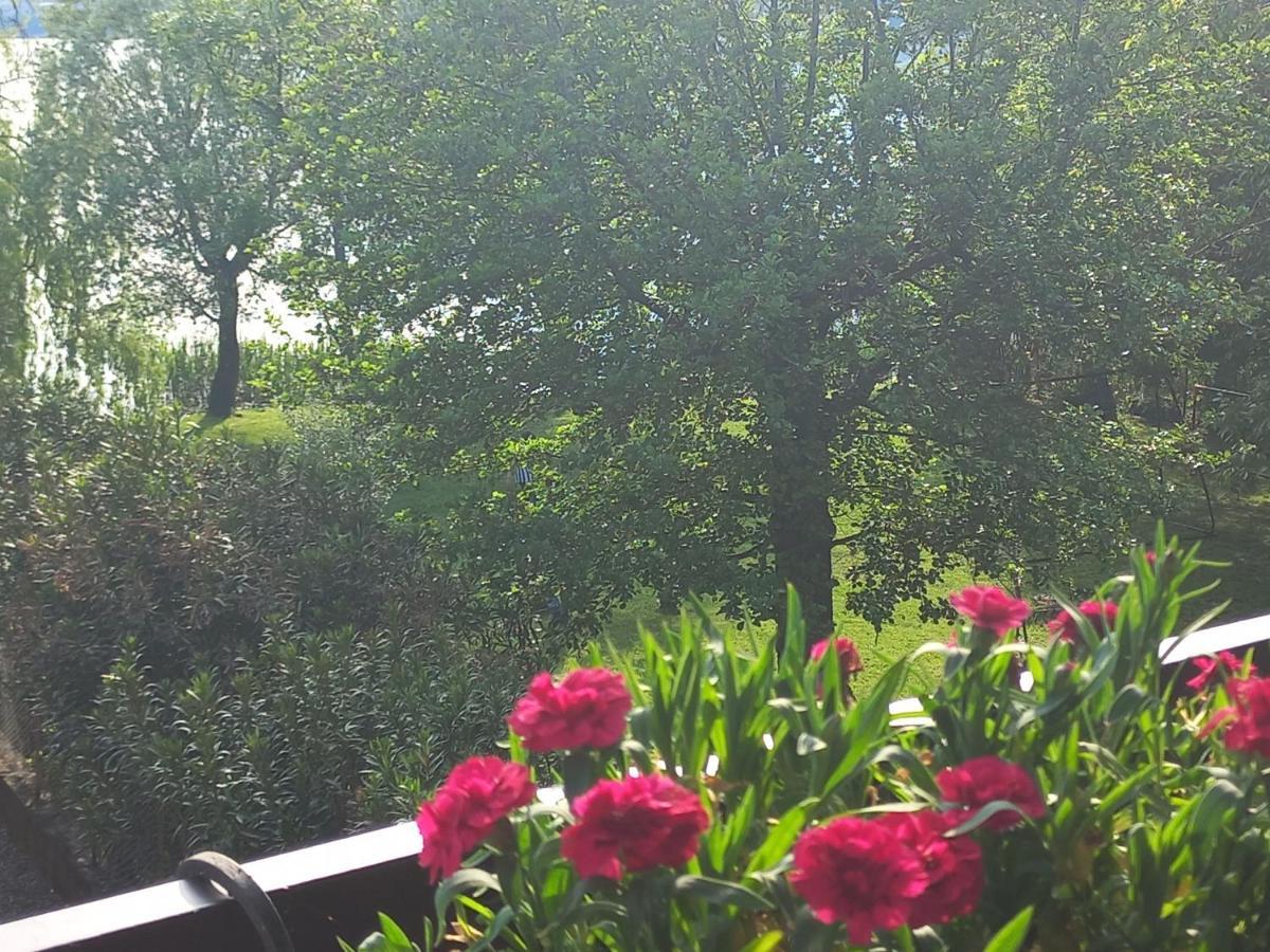 Appartamento Miralago Con Giardino Sul Lago Gavirate Eksteriør billede