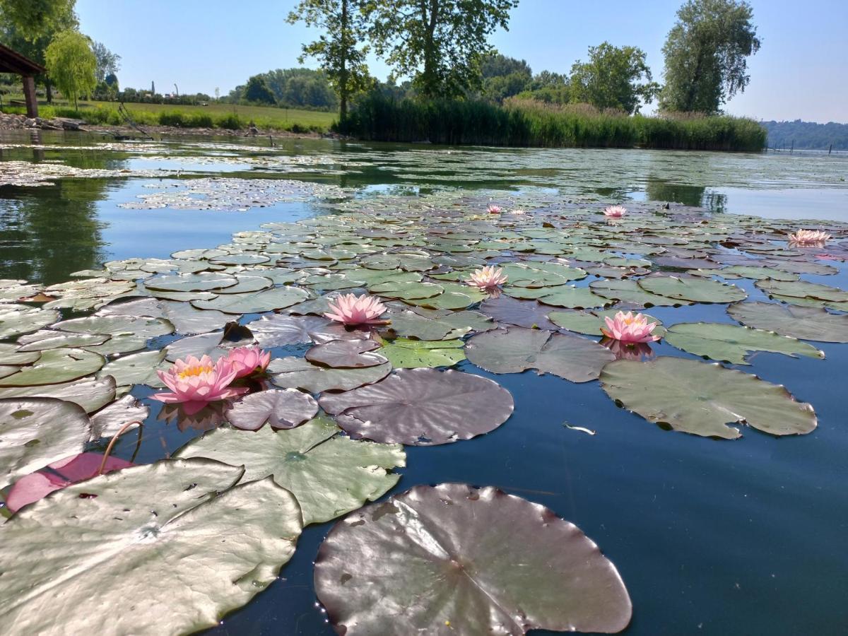 Appartamento Miralago Con Giardino Sul Lago Gavirate Eksteriør billede
