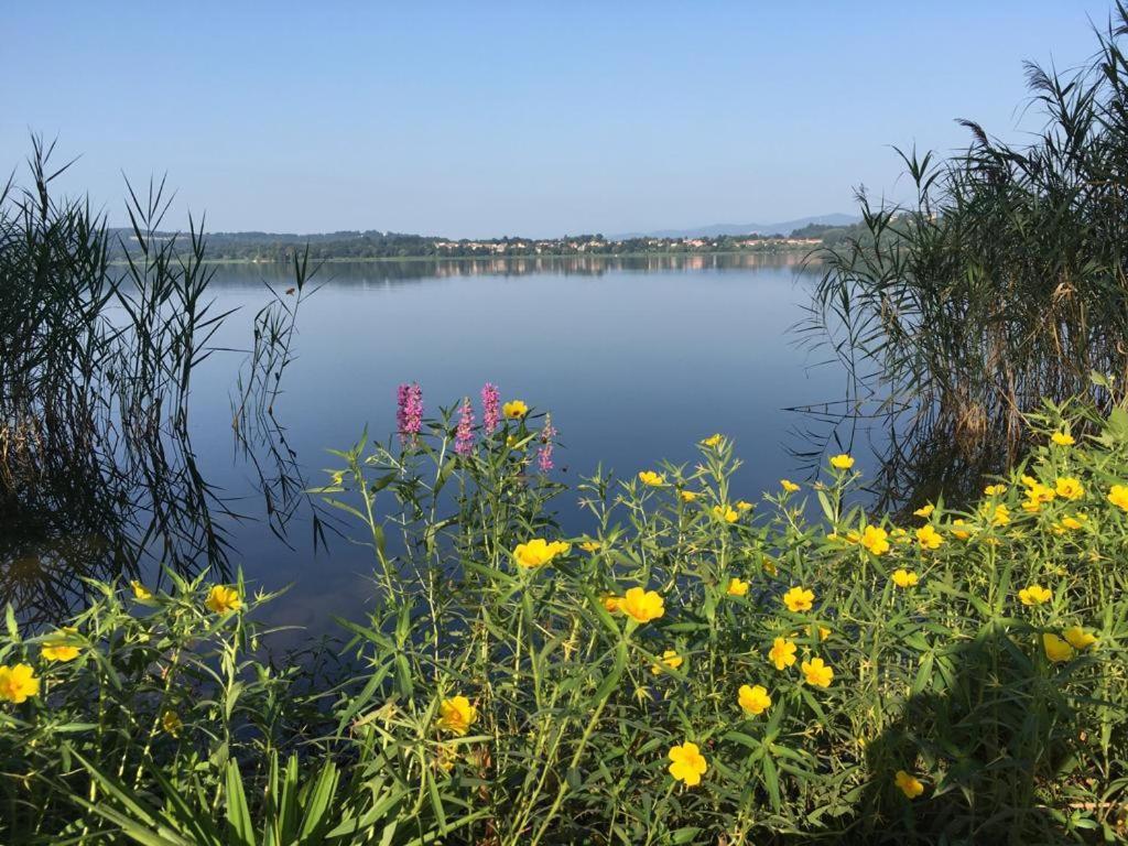 Appartamento Miralago Con Giardino Sul Lago Gavirate Eksteriør billede